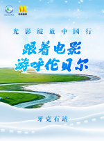 视频一区二区综合